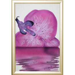 Сиреневая орхидея-5
